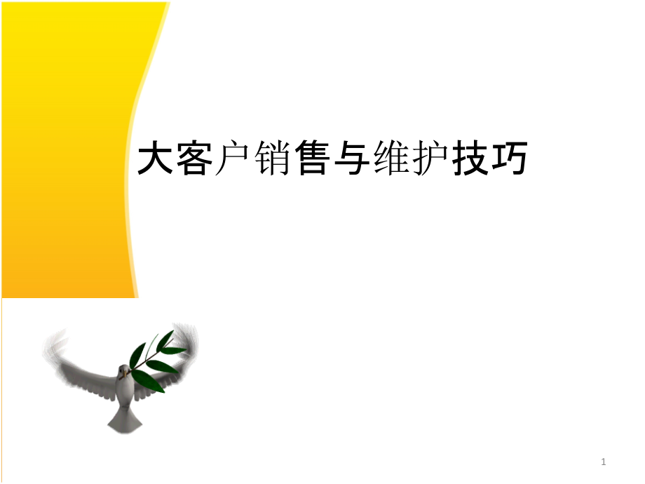 大客户销售与维护技巧幻灯片.ppt_第1页