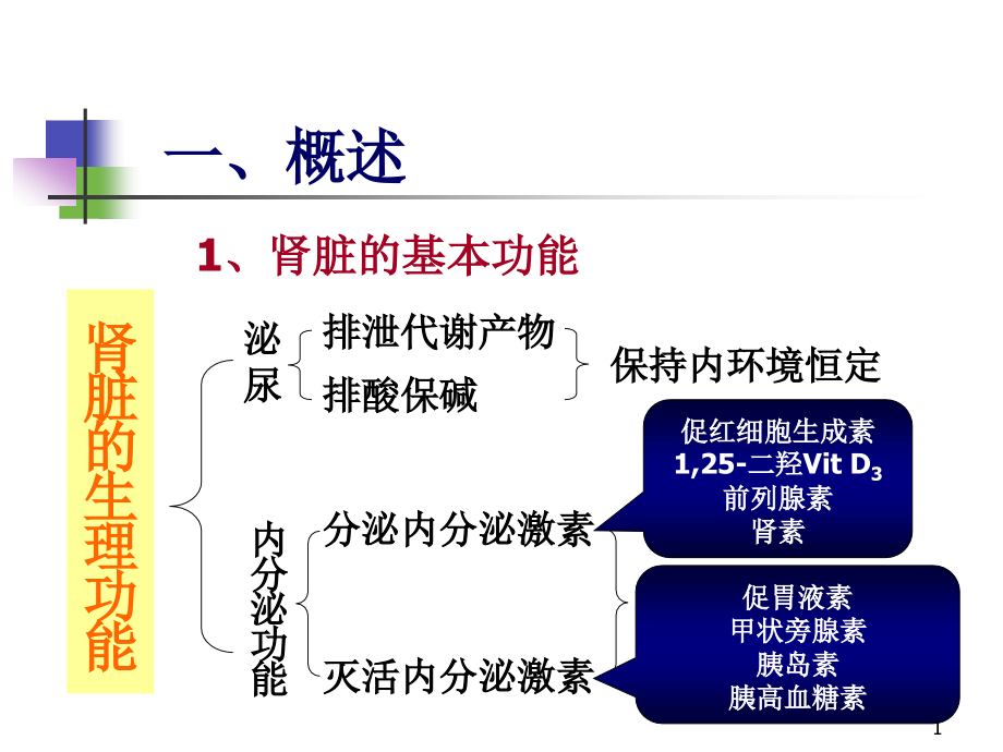 病理生理学肾功能不全.ppt_第1页