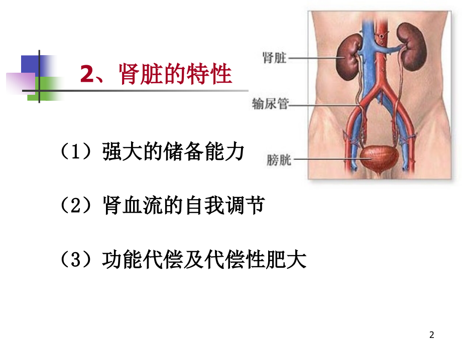 病理生理学肾功能不全.ppt_第2页