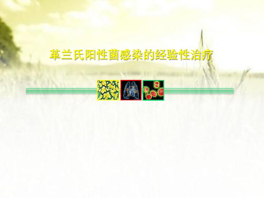 革兰氏阳性菌感染的经验性治疗.pptx_第1页