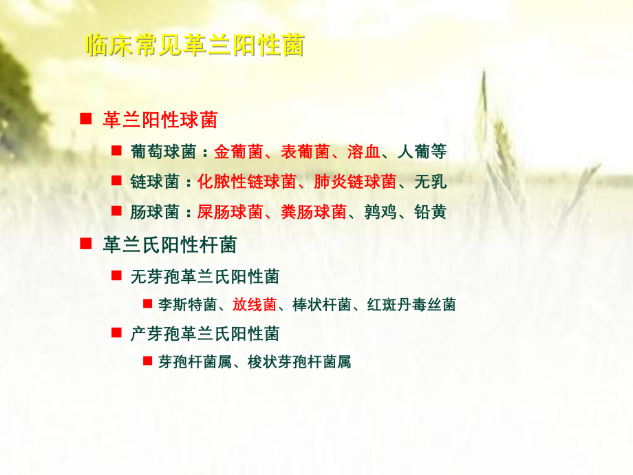革兰氏阳性菌感染的经验性治疗.pptx_第2页