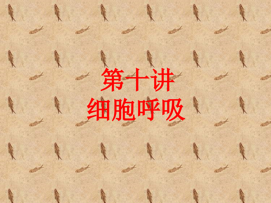 影响细胞呼吸的外界因素及其应用课件.ppt_第1页