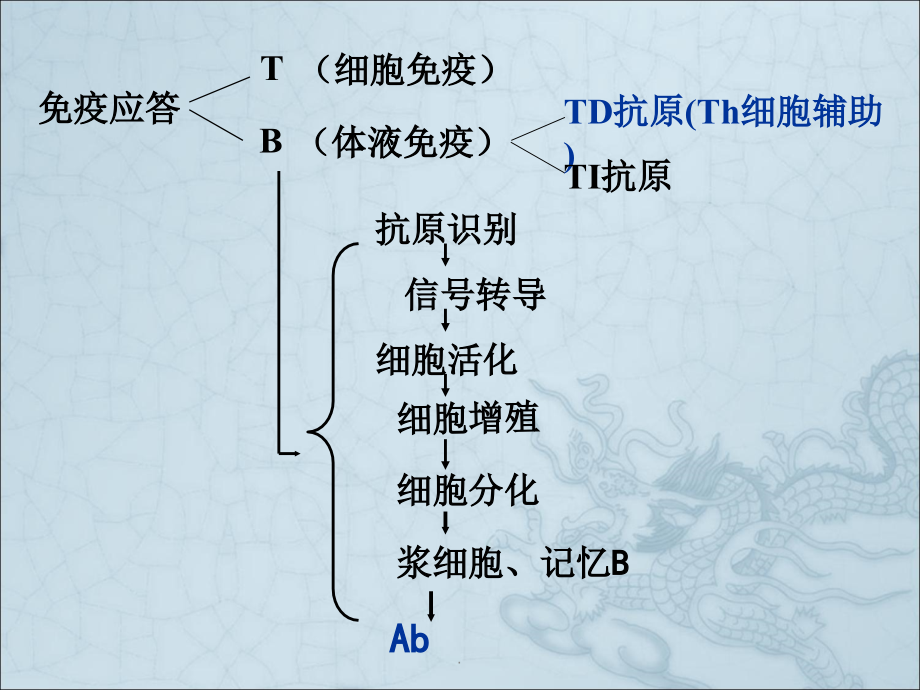 体液免疫应答.ppt_第2页