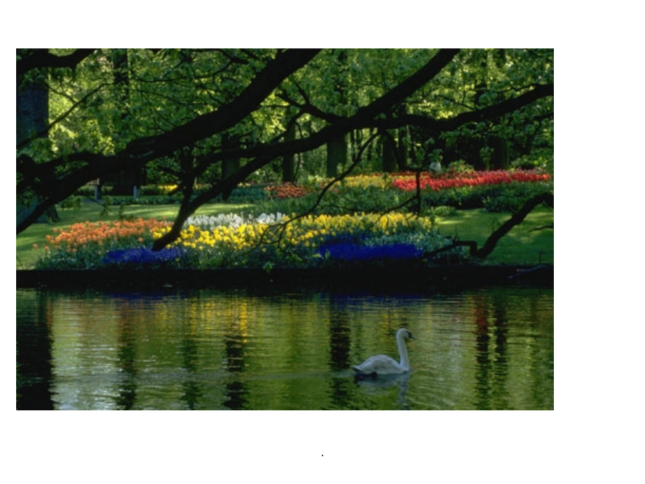 保护环境从我做起..ppt_第2页