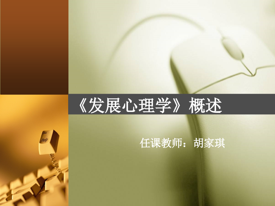 发展心理学概论.ppt_第1页