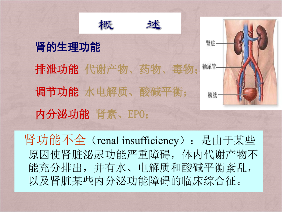肾功能障碍.ppt_第2页