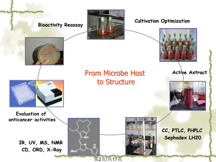 微生物分离培养.pptx_第2页