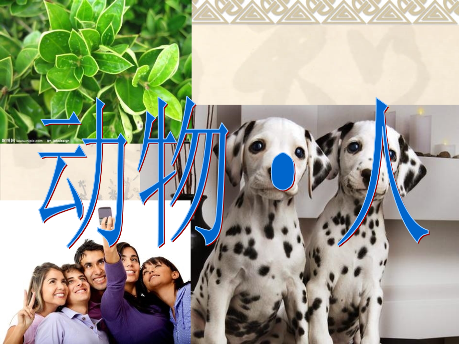 苏教版小学一年级科学下册：12.动物·人-优质课件.ppt_第1页