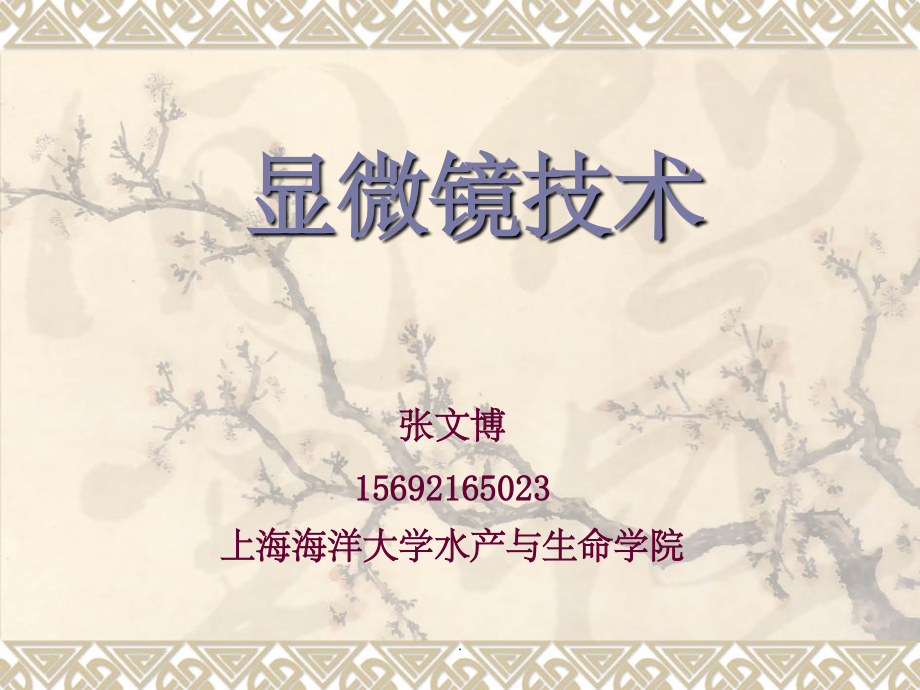 普通显微镜课件.ppt_第1页