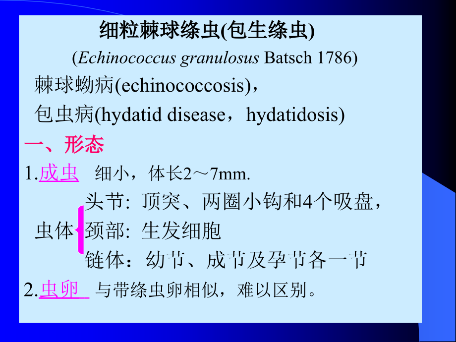 包虫PPT课件.ppt_第1页