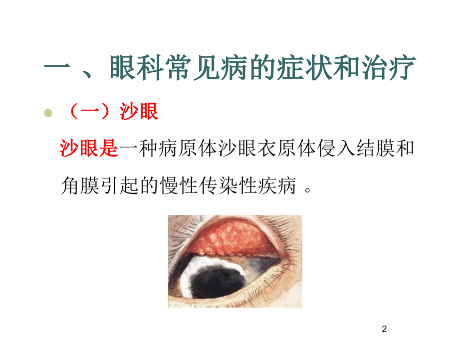 常见五官科疾病诊断与治疗.ppt_第2页