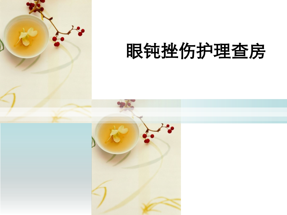 眼钝挫伤的护理查房-.ppt_第1页