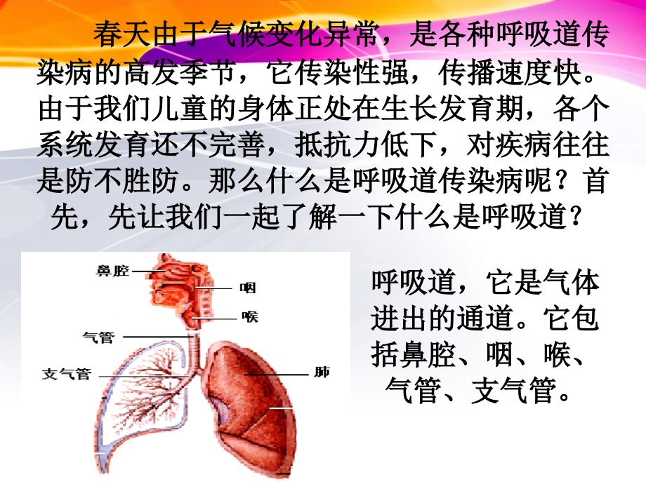 春季常见传染病预防知识主题班会PPT医学课件.pptx_第2页