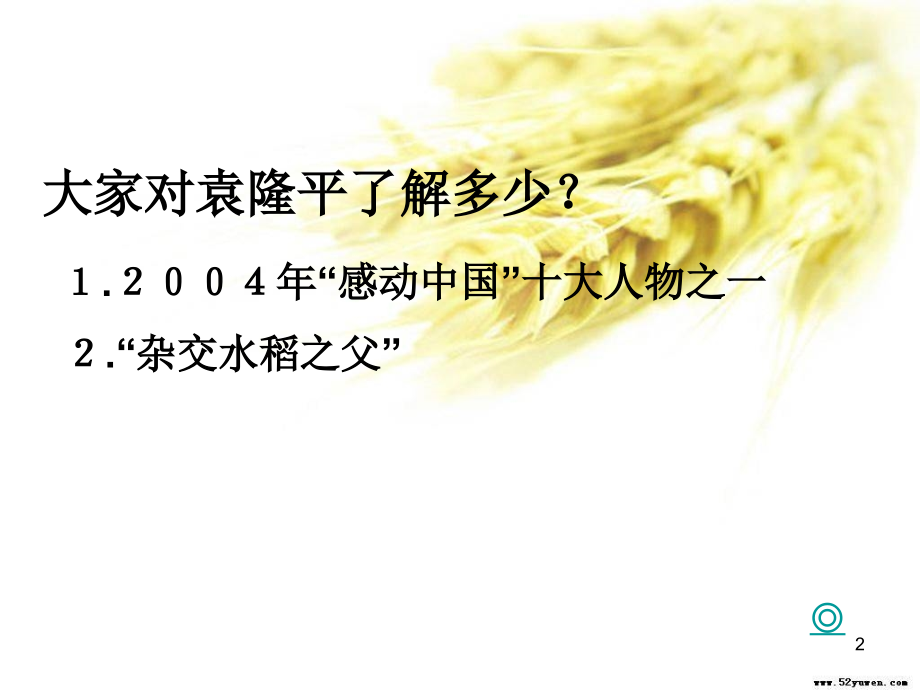 喜看稻菽千重浪.ppt_第2页
