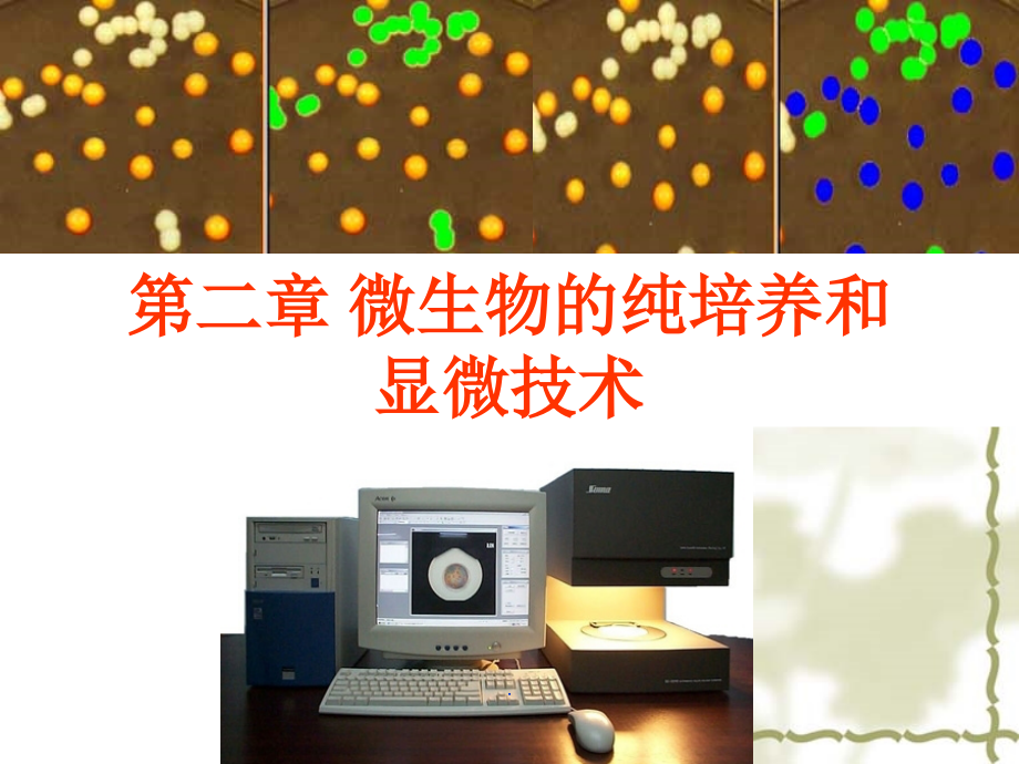 微生物的分离和纯培养.ppt_第1页