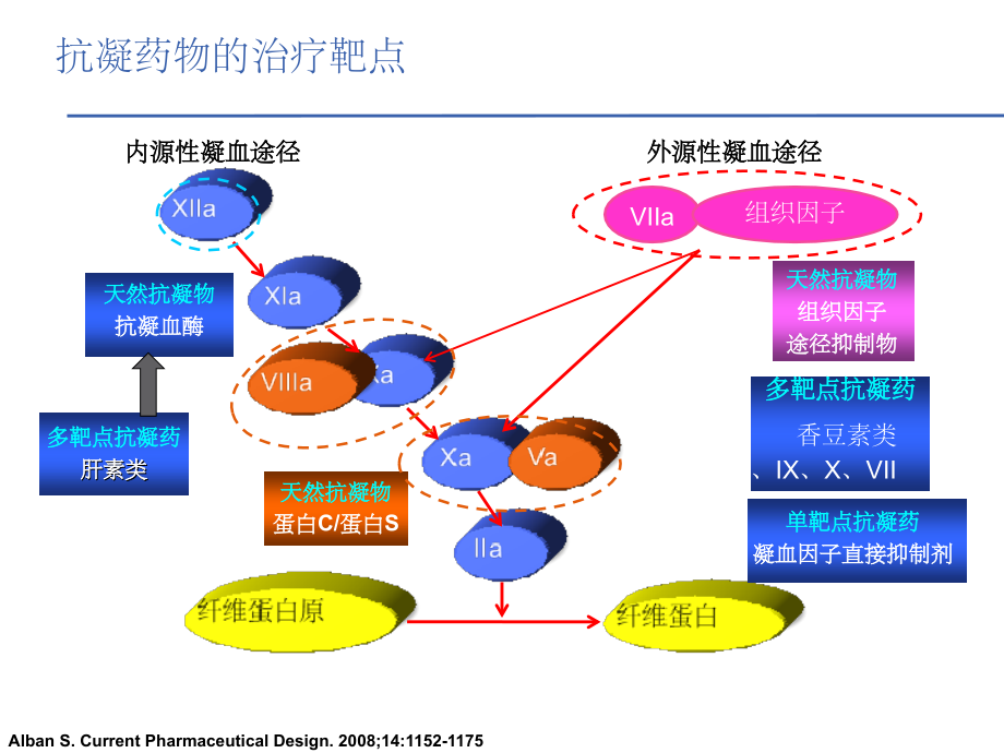 从抗凝机制的角度理解和选用抗凝药物-1.ppt_第2页