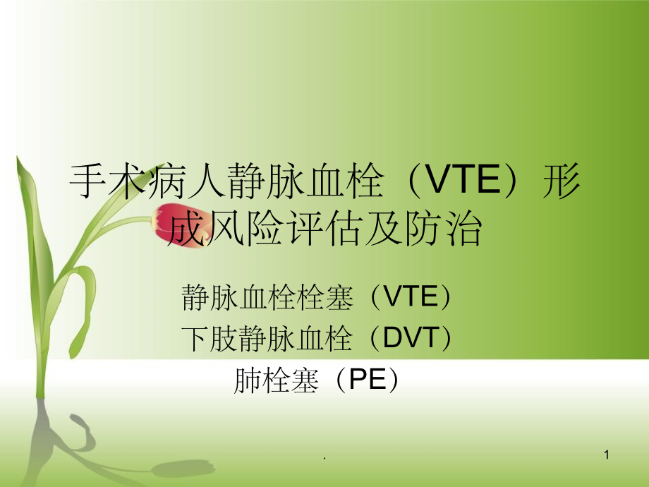 静脉血栓风险评估及预防课件.ppt_第1页