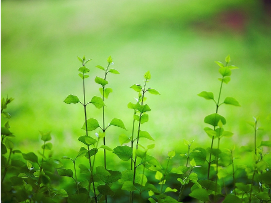 幼小衔接-方位顺序.ppt_第1页