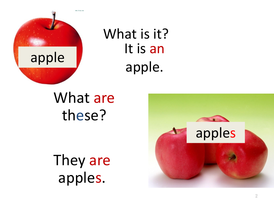 新人教版小学英语四年级下册第四单元.pptx_第2页