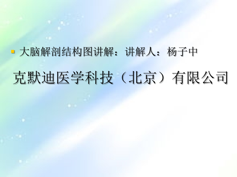 大脑解剖结构ppt.ppt_第1页