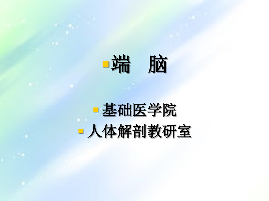 大脑解剖结构ppt.ppt_第2页