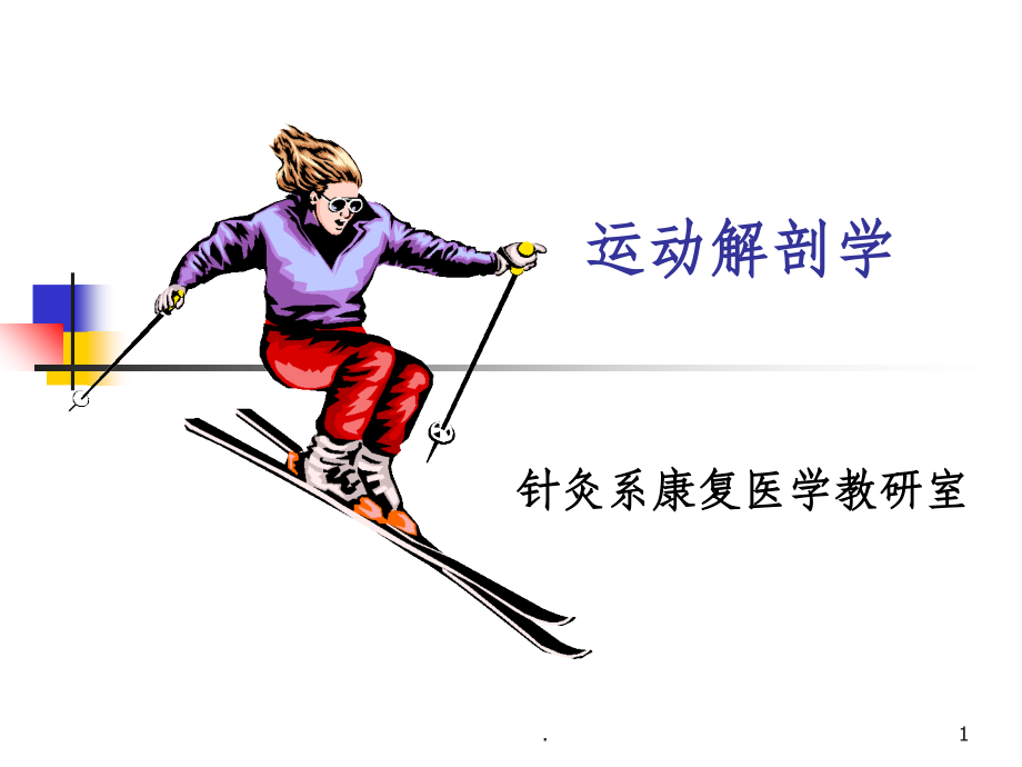 运动解剖学课件.ppt_第1页