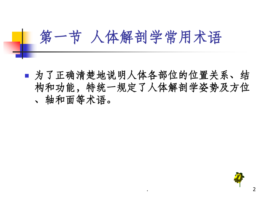 运动解剖学课件.ppt_第2页