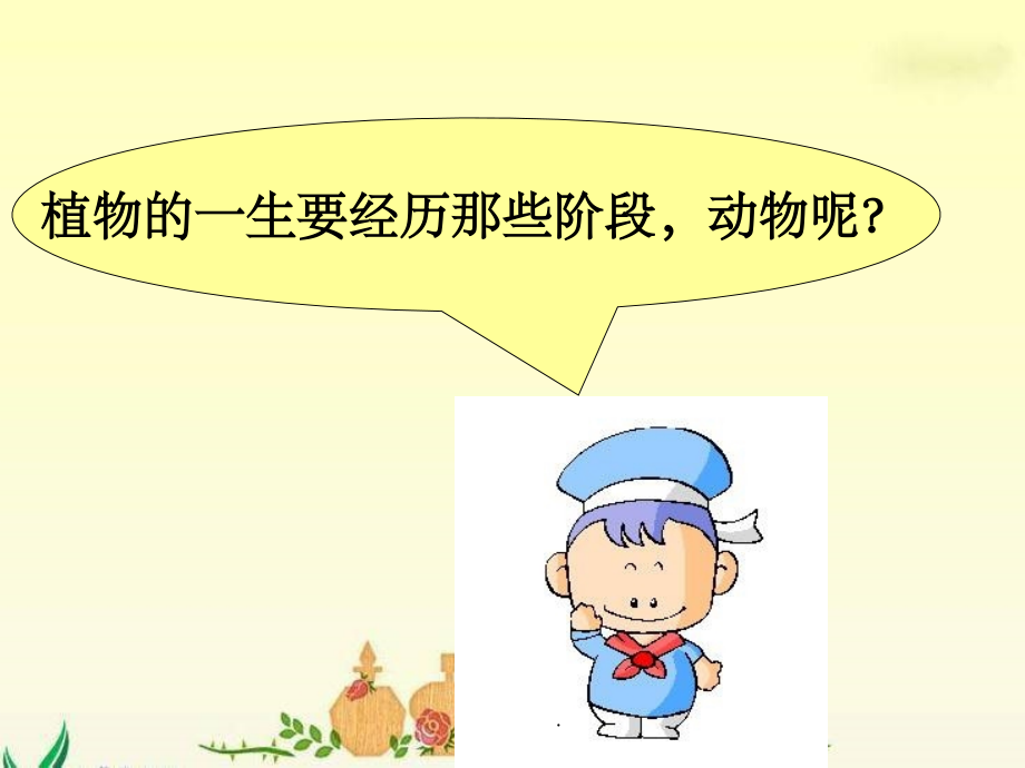 四年级科学下册养小鸡1.ppt_第2页