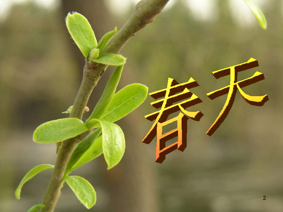 四年级下语文触摸春天.ppt_第2页