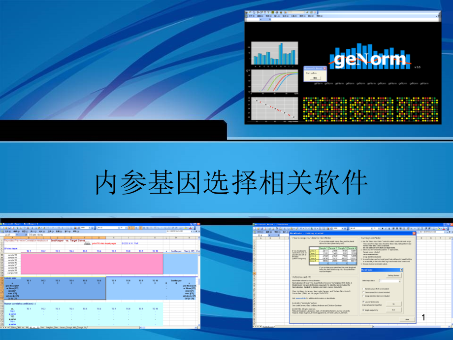 内参基因选择相关软件.ppt_第1页