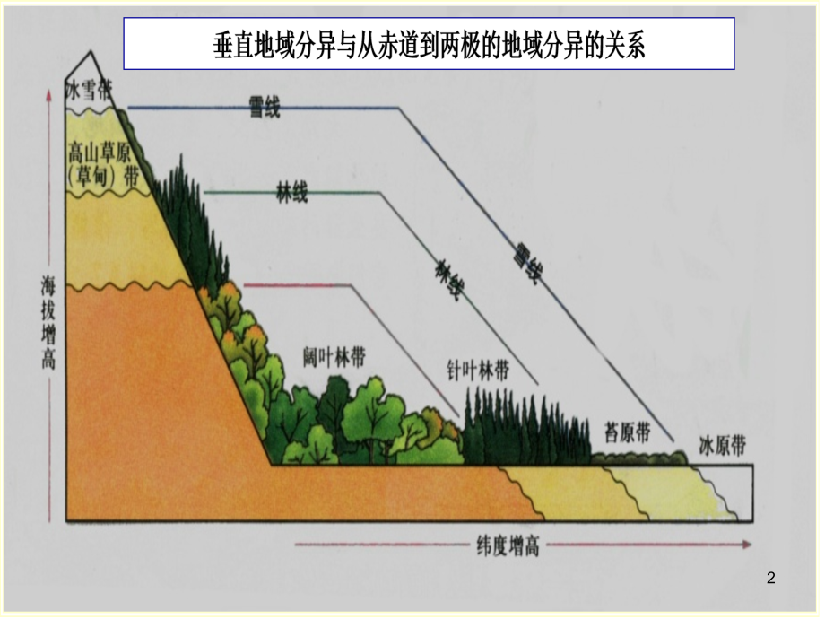 垂直分异和地方性分异规律幻灯片.ppt_第2页