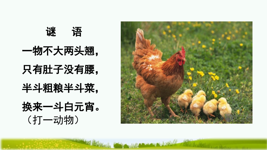 部编版四年级语文下册《母鸡》教学课件.pptx_第1页