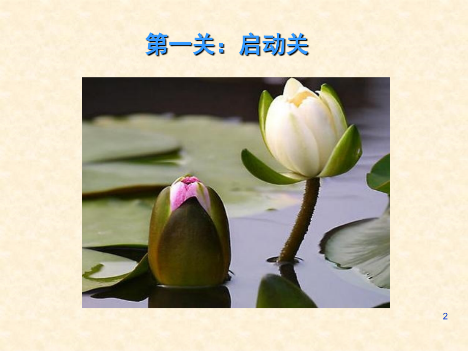 服美容院如何提高美容师的服务与销售水平.ppt_第2页