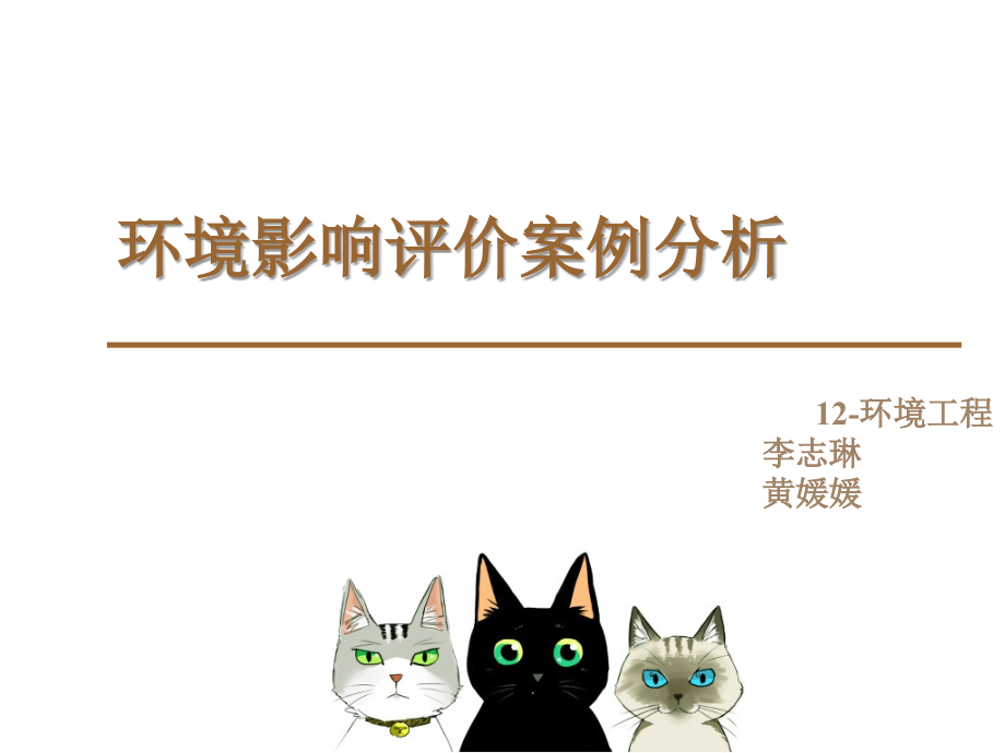 环境影响评价案例分析课件.ppt_第1页