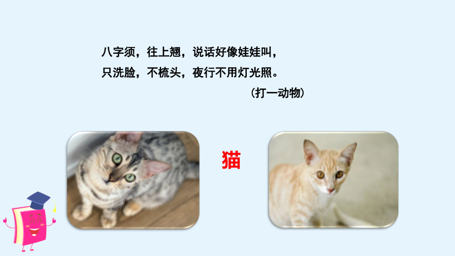 部编人教版小学语文四年级上册：第二单元习作--小小动物园--课件(新教材).ppt_第2页