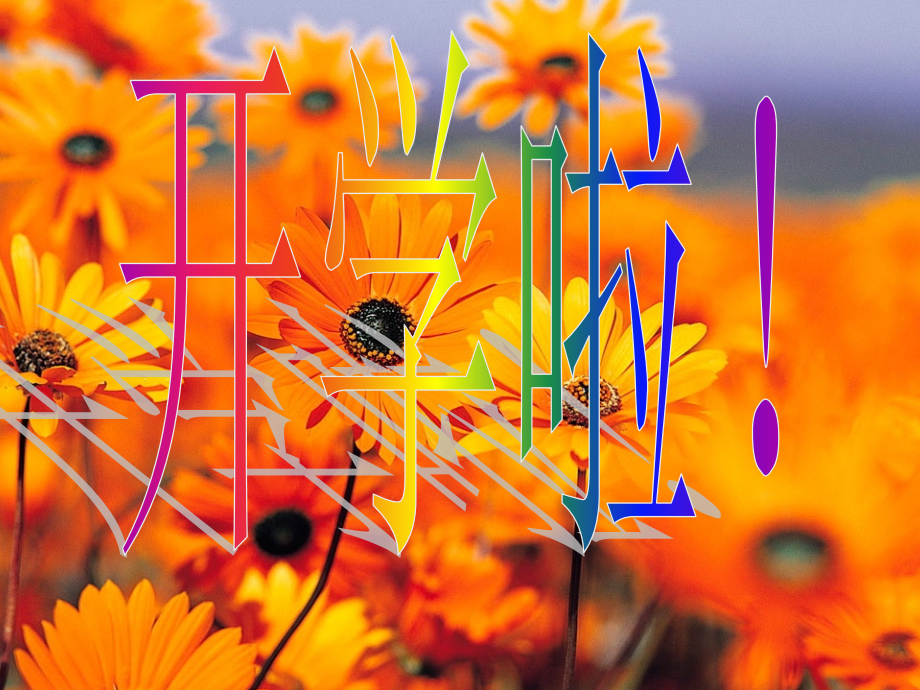 开学收心班会(六年级).ppt_第1页