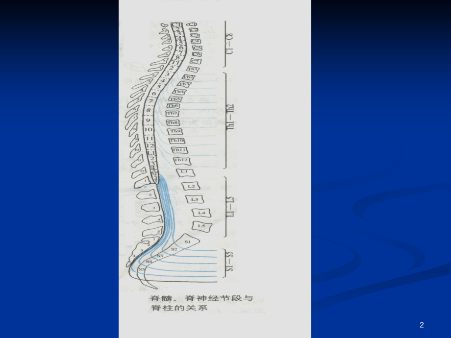脊髓疾病护理.ppt_第2页