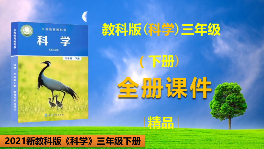 教科版三年级科学下册全册ppt课件.ppt_第1页