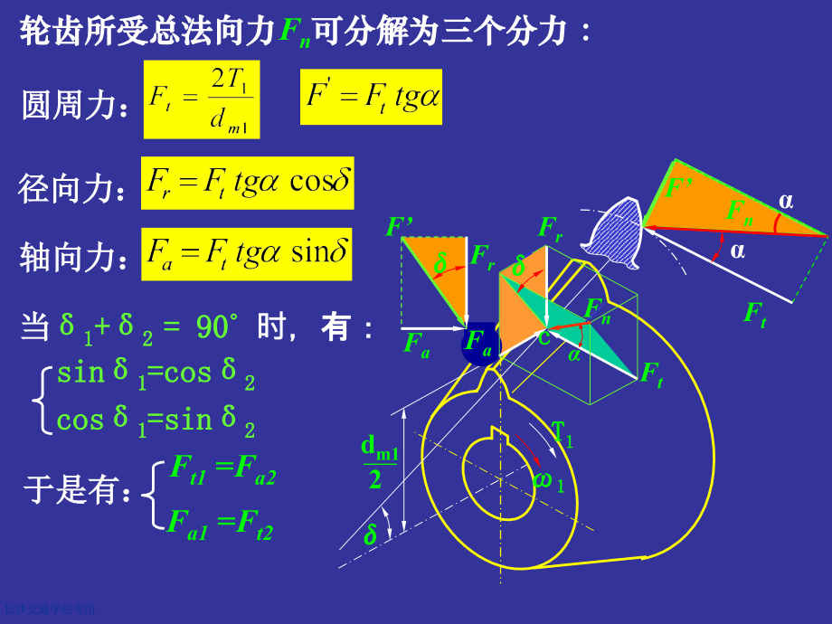 齿轮受力分析.pptx_第1页