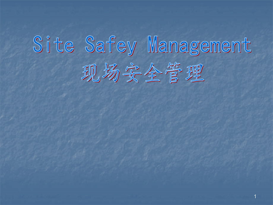 安全管理执行程序.ppt_第1页