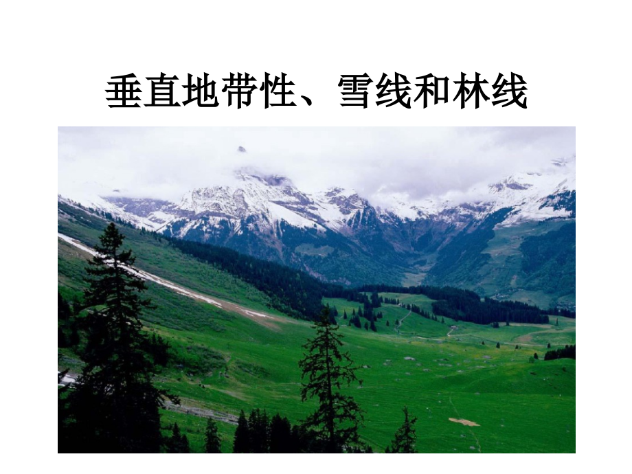 微专题垂直自然带雪线与林线.ppt_第1页