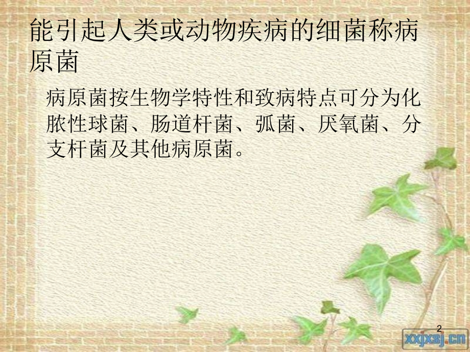 常见病原菌.ppt_第2页