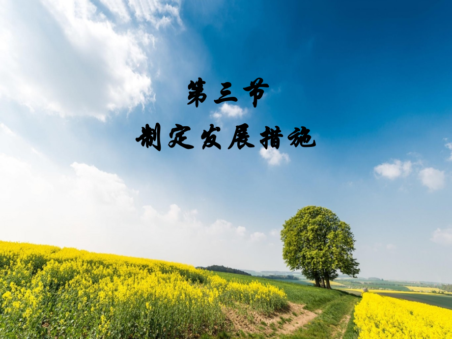 制定发展措施.pptx_第2页