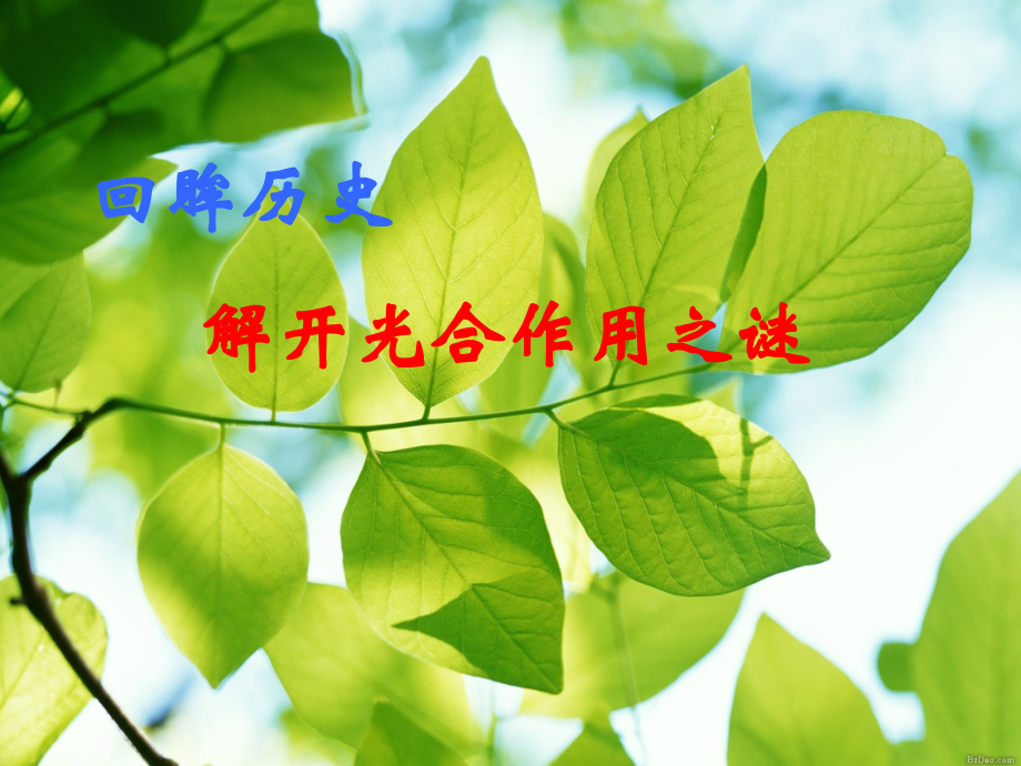 光合作用探究历程.ppt_第1页