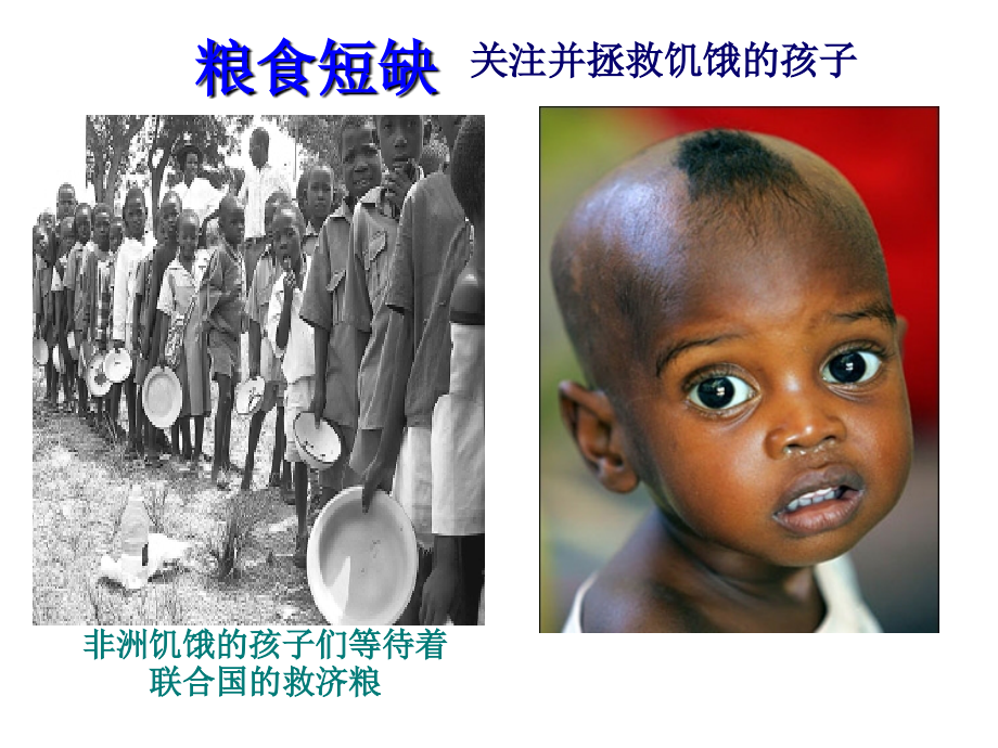 光合作用探究历程.ppt_第2页
