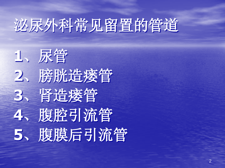 泌尿外科常见管道护理.ppt_第2页