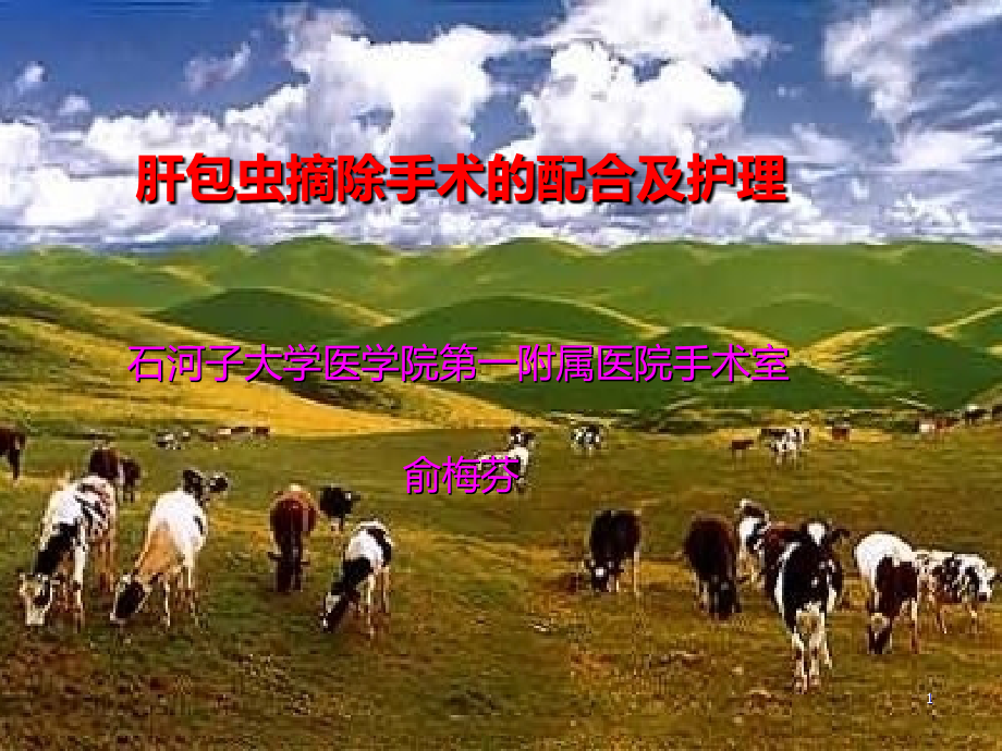 肝包虫课件.ppt_第1页