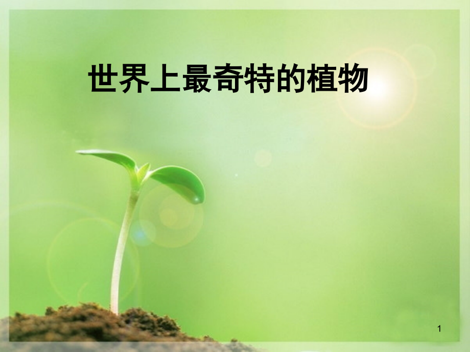 世界上最奇特的植物.ppt_第1页