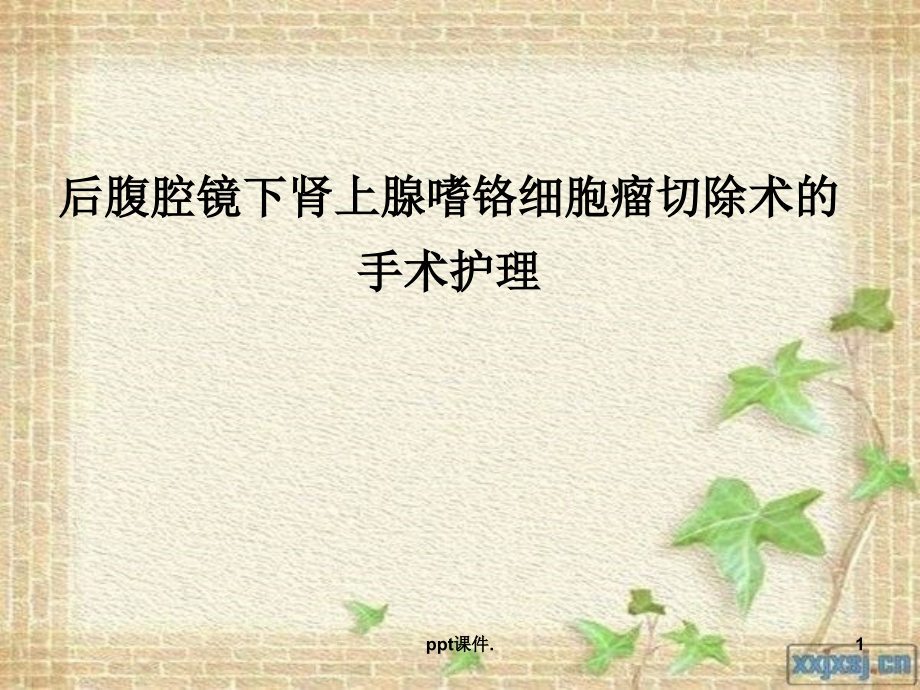 后腹腔镜肾上腺肿瘤切除术幻灯片.ppt_第1页