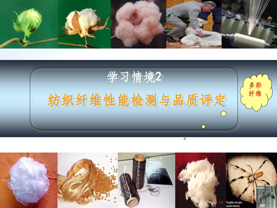 纺织纤维性能检测与品质评定.ppt_第1页
